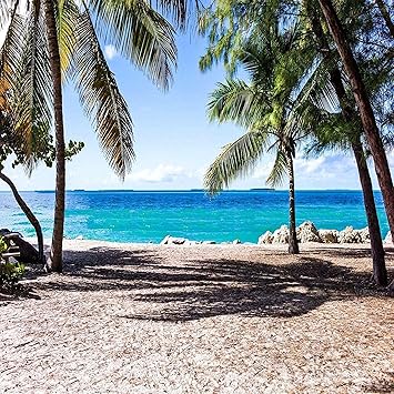 Download Tropischer strand hochzeit dekorationen For Android