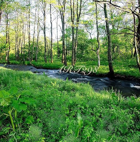 Amazon Co Jp 風景写真ポスター 福島県 磐梯高原 木々の間から光が差し込む長瀬川 川の流れが緩やかで心癒される風景 24 大自然の癒しの風景をインテリアとして飾ってみませんか プロのカメラマンによる 高画質 高品質な印刷ポスター 59 4 59 4ｃｍ ホーム キッチン
