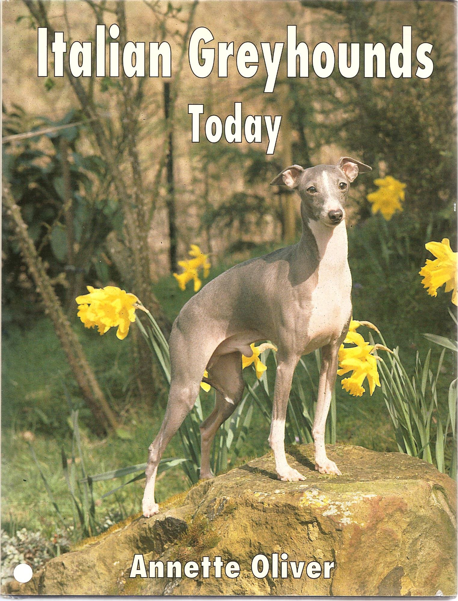 Italian Greyhounds Today (Cloth): Amazon.co.uk: Oliver: 9780876051917: Books