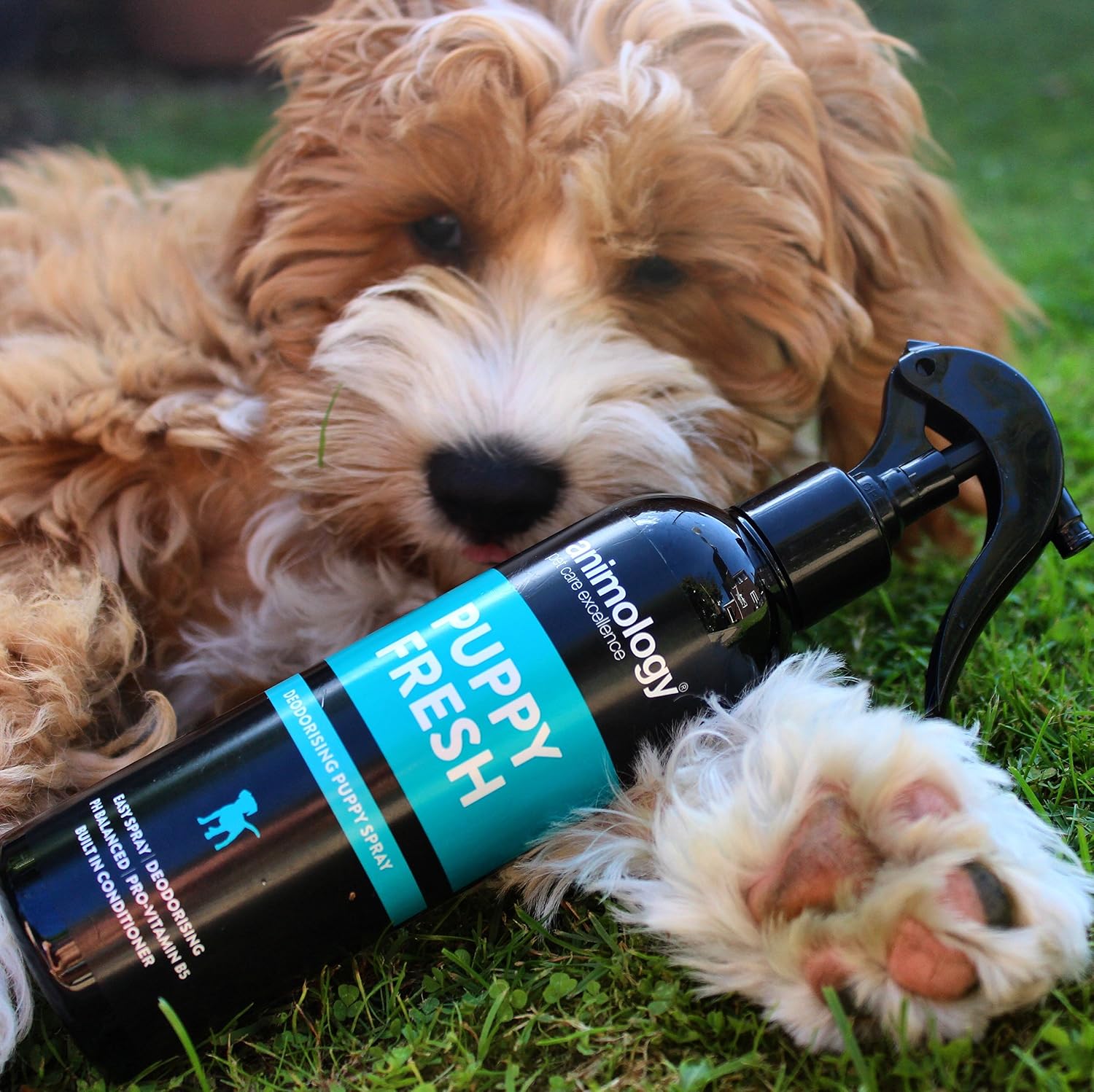 Puppy Fresh Deodorising Puppy Spray, Twin Pack, 250ml, 250 ml (Pack of 2) - Image 3
