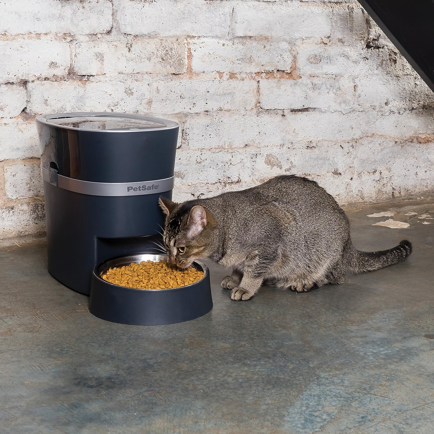 petsafe wifi feeder