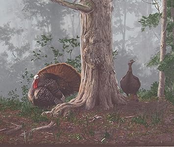 Retroart Wilder Truthahn Im Schattigen Wald Modernen Tapeten Grenze Retro Design Roll 15 X 10 25 Amazon De Baumarkt