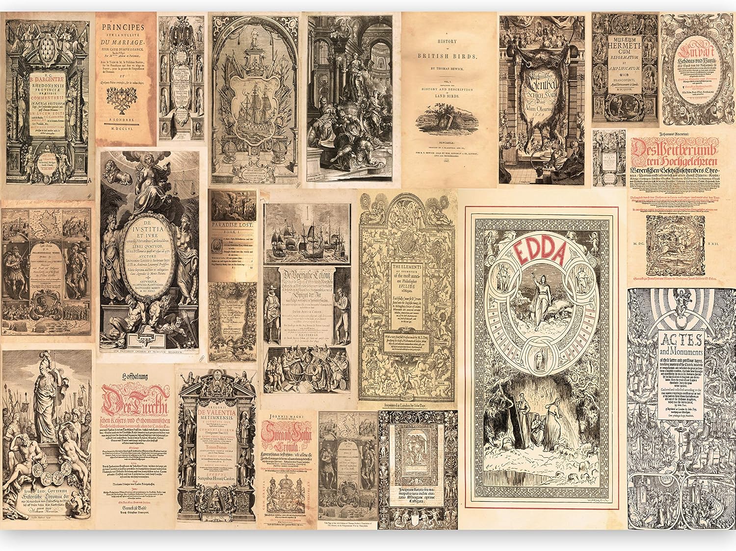 N C 0014 A B N C 0014 A C N C 0014 A D A Amazon Co Uk Kitchen Home