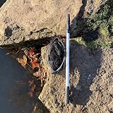 Selections Pond Net with 190cm Telescopic Handle Fine Mesh Pond Cleaner view 3