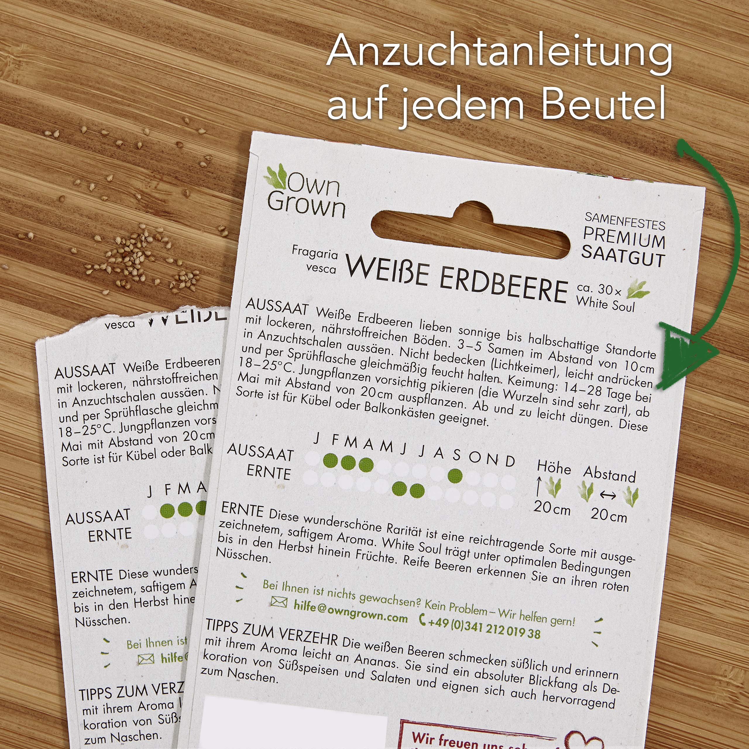 Obst Samen Set: Premium Garten Obst Saatgut mit 8 Sorten Obst Pflanzen für Garten und Balkon – Wassermelone Samen, Erdbeeren Samen, Andenbeere, Rhabarber uvm. – Obstsamen Geschenk Set von OwnGrown 5