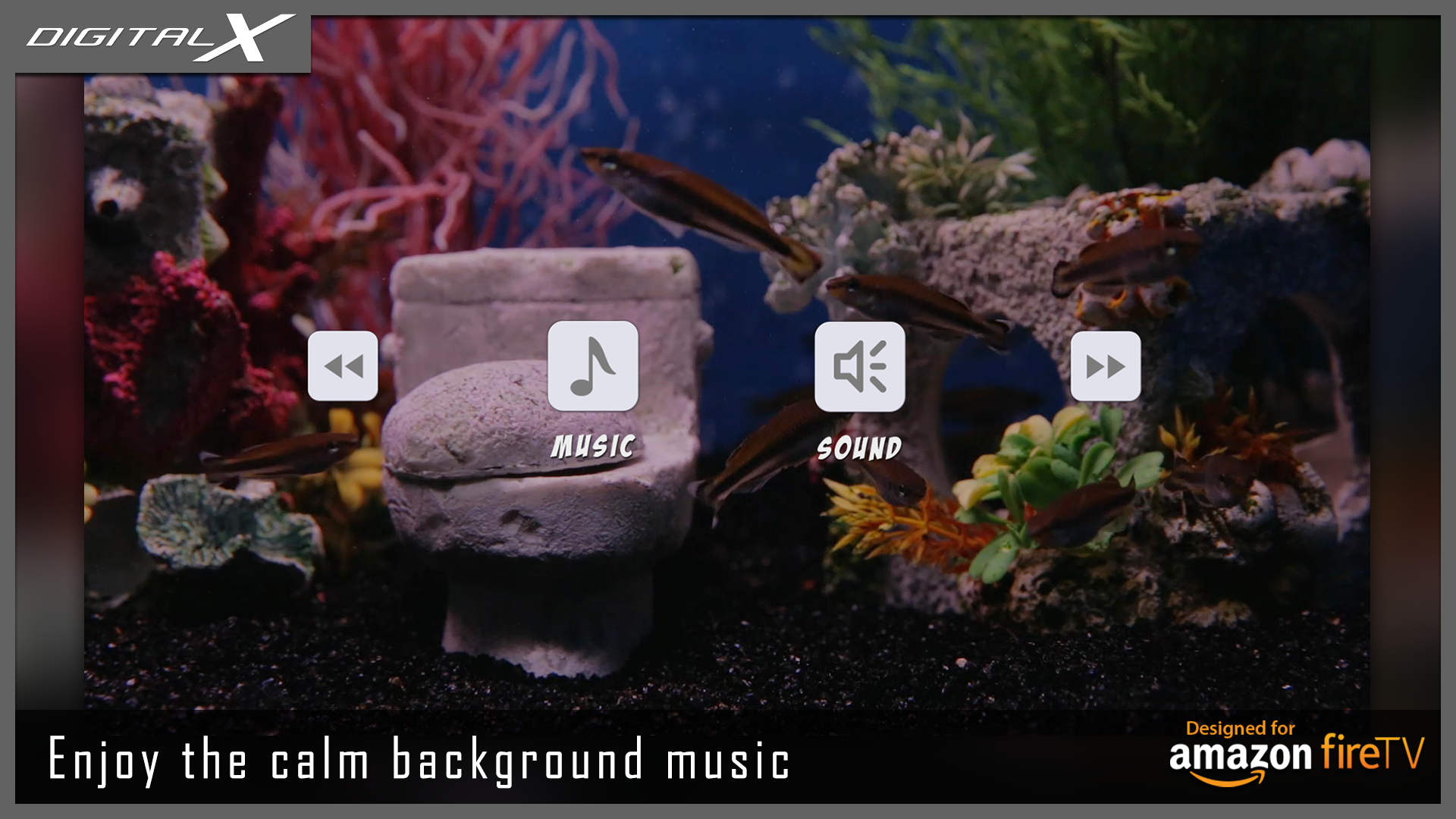 Toilet Tank aquarium