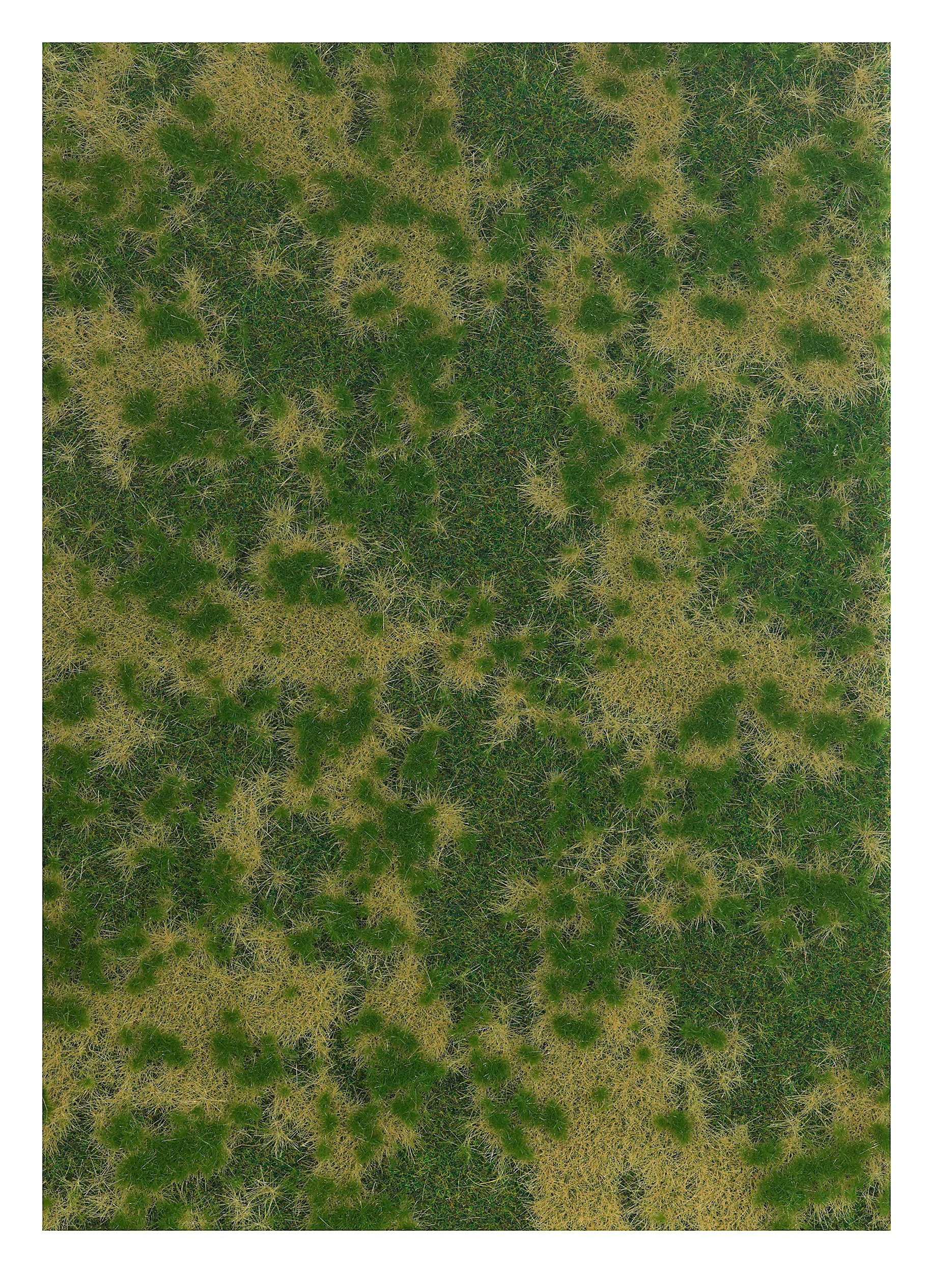 Edge Of Forest Grass - Fibre mat 297x210mm