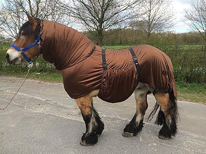 Hafer24 Ekzemerdecke braun für kräftige Pferde Barock, Friese, Hengsttyp Gr.135-175