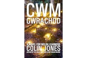 Cwm Gwrachod: A novel for Welsh learners (Welsh Edition)