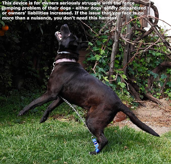 shock collar for fence jumping