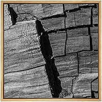 SIGNWIN Framed Canvas Wall Art Old Aged Drift Wood Grain Tree Bark Nature Texture Photography Minimalism Modern Closeup Dramatic Black and White for Living Room, Bedroom, Office - 16