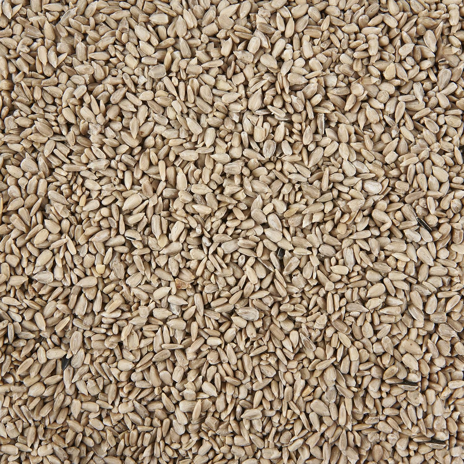 Garden Ting Premium Sunflower Hearts Kernels, Wild Bird Food Tub, 3 Litre, Baige, 3 count (Pack of 1) - Image 3