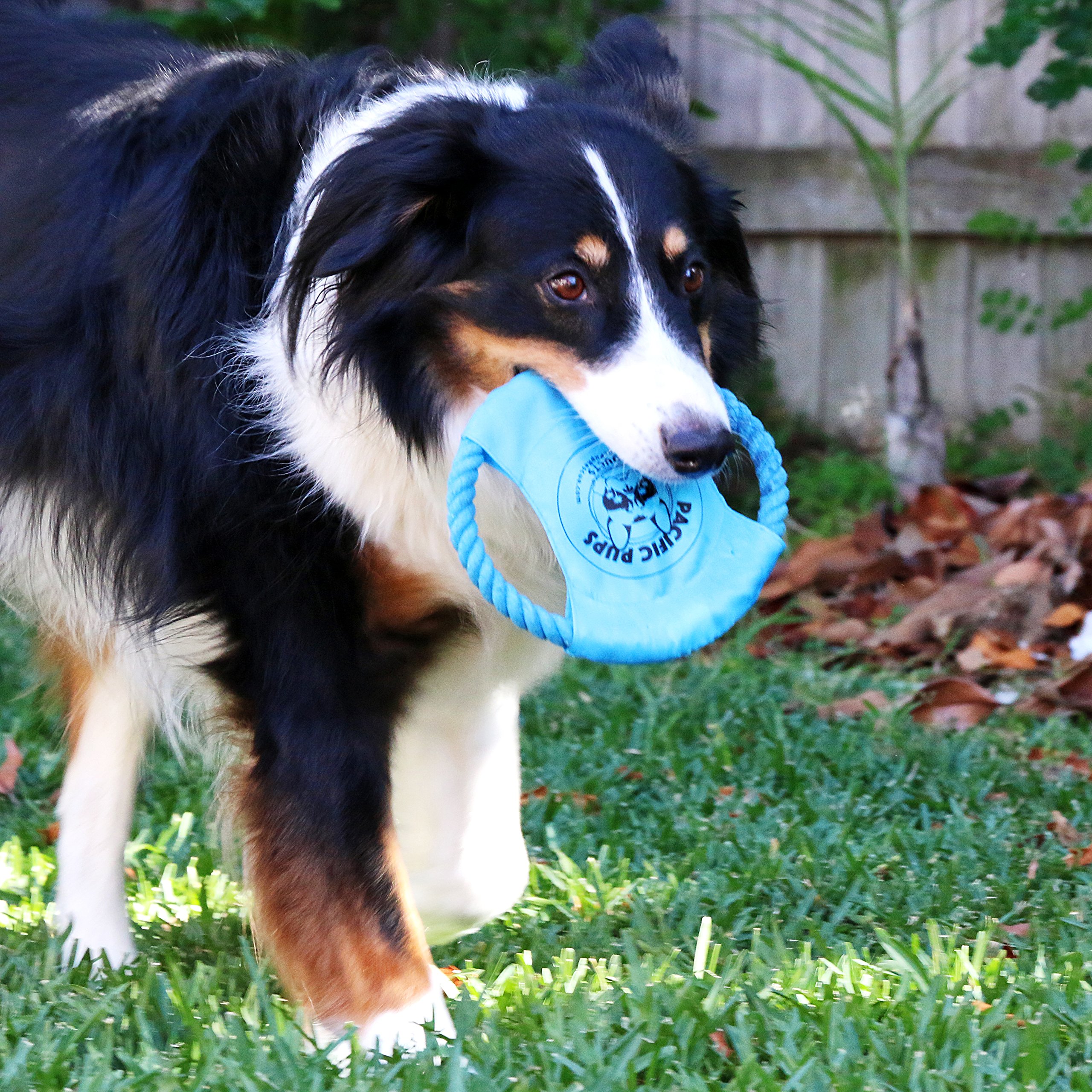 DOG ROPE TOYS FOR AGGRESSIVE CHEWERS – SET OF 11 NEARLY INDESTRUCTIBLE DOG TOYS – BONUS GIRAFFE ROPE TOY - BENEFITS NONPROFIT DOG RESCUE