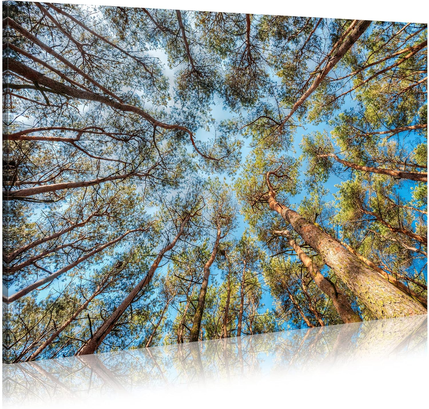 Paintings - WALLSUP DECOR Forest Trees Canvas Wall Art - Nature Forest Look Up Scene Picture Blue Sunshine Close-Knit Landscape Artwork Painting for Home Walls Living Room Bedrooms