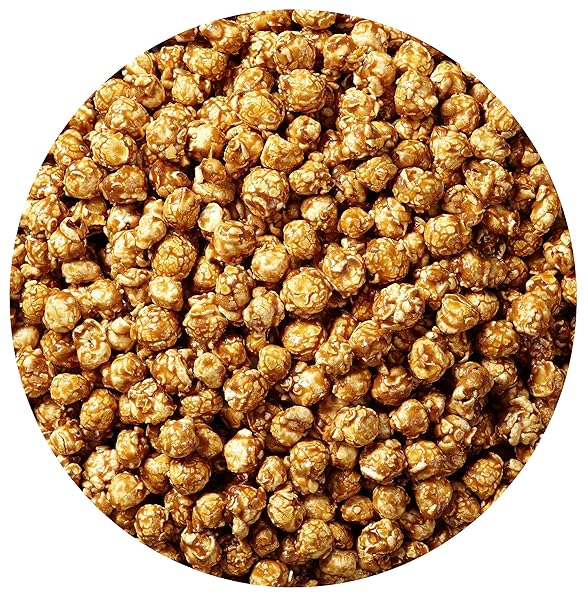 SEA SALT CARAMEL POPCORN RESEALABLE PENGUIN SHAPE BAG, 12 OUNCE, FRESH GOURMET POPCORN