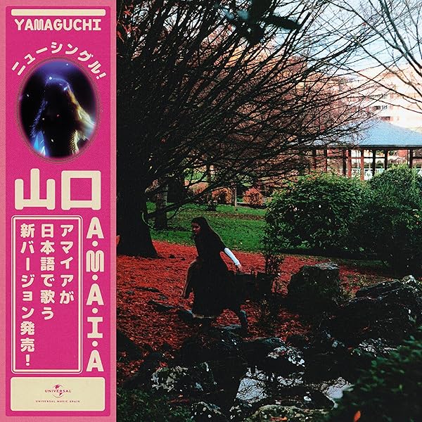 Amazon.com: Impressions: 4943674008100: Mariya Takeuchi: Books