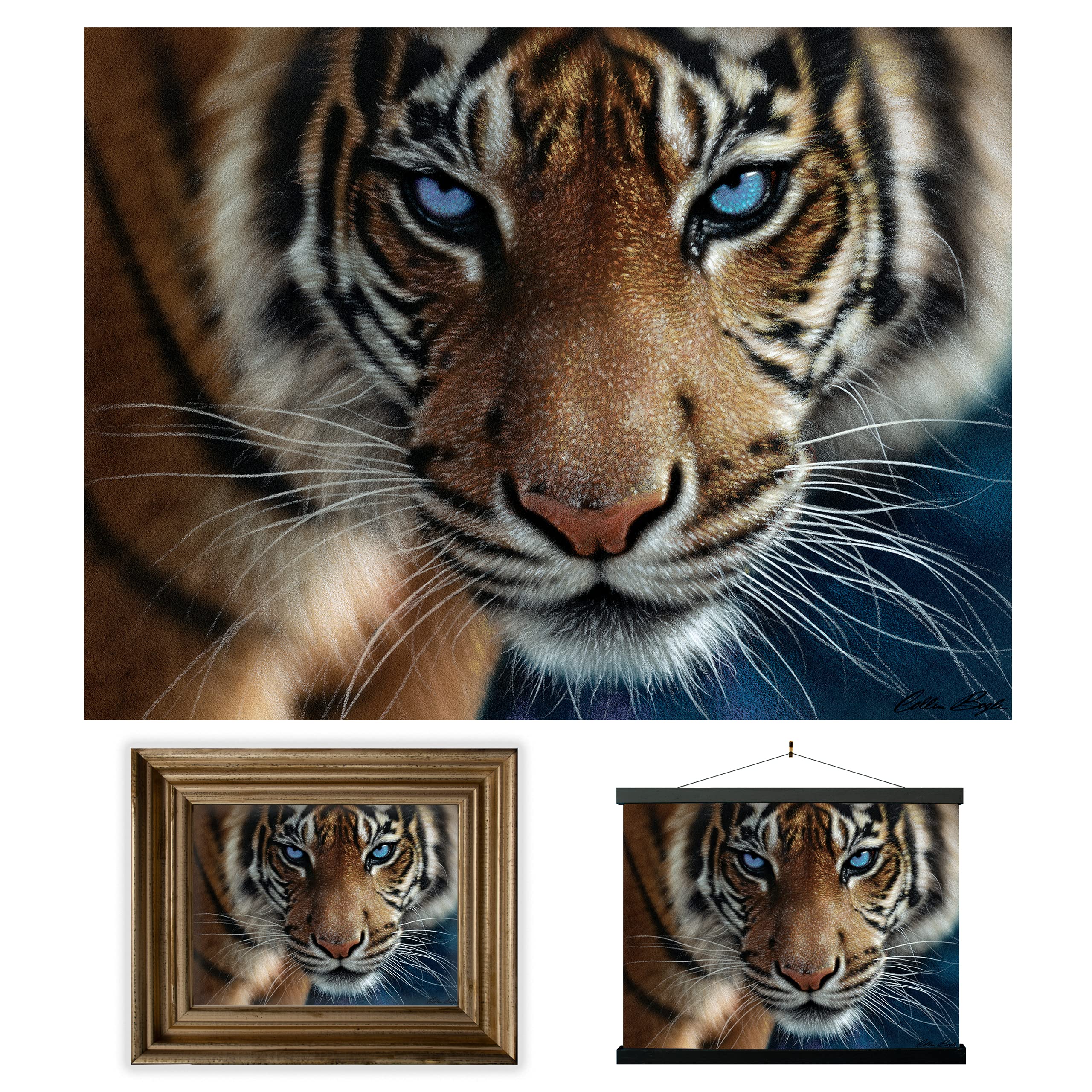 3D LiveLife Lenticular Wall Art Prints - Blue Eyes from Deluxebase. Unframed 3D Tiger Poster. A perfect wall filler. Original artwork licensed from renowned artist, Steve Sundram — image 1