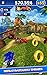 Sonic Dash