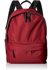 AmazonBasics Classic Backpack - Red