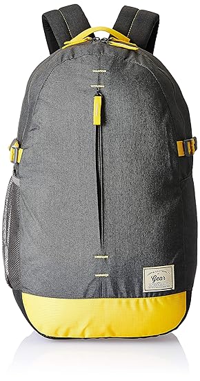 Gear 22 Ltrs Grey Casual Backpack (BKPCMPSLB0412)