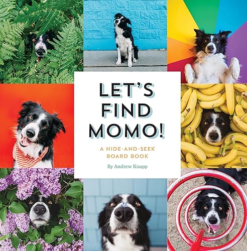 Download Let's Find Momo!: A Hide-and-Seek Board Book PDF