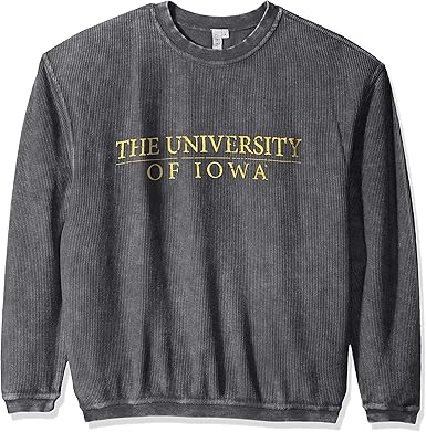 navy blue hollister hoodie