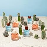 Hollister Canyon Escape for Her Eau de Parfum 100ml view 4