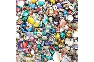 PEPPERLONELY Extra Small Dyed/Natural Mix Seashells, Very Small & Clean, 8 OZ Apprx. 1/4 Inch ~ 1/2 Inch