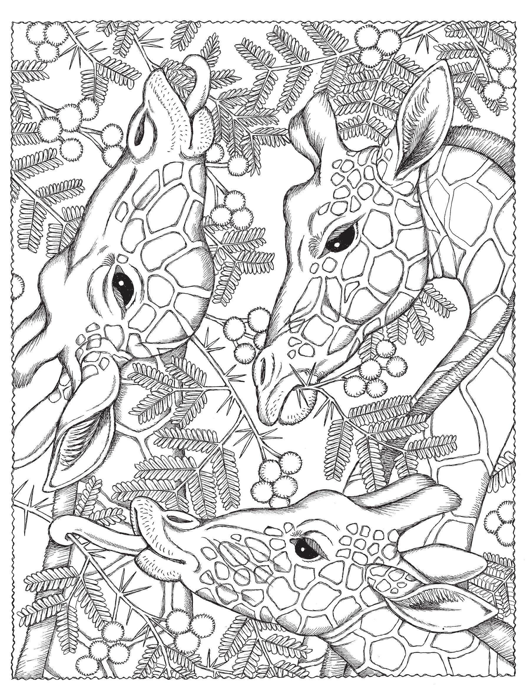 Amazon Com Creative Haven Naturescapes Coloring Book Adult Coloring 9780486494500 Wynne Patricia J Books