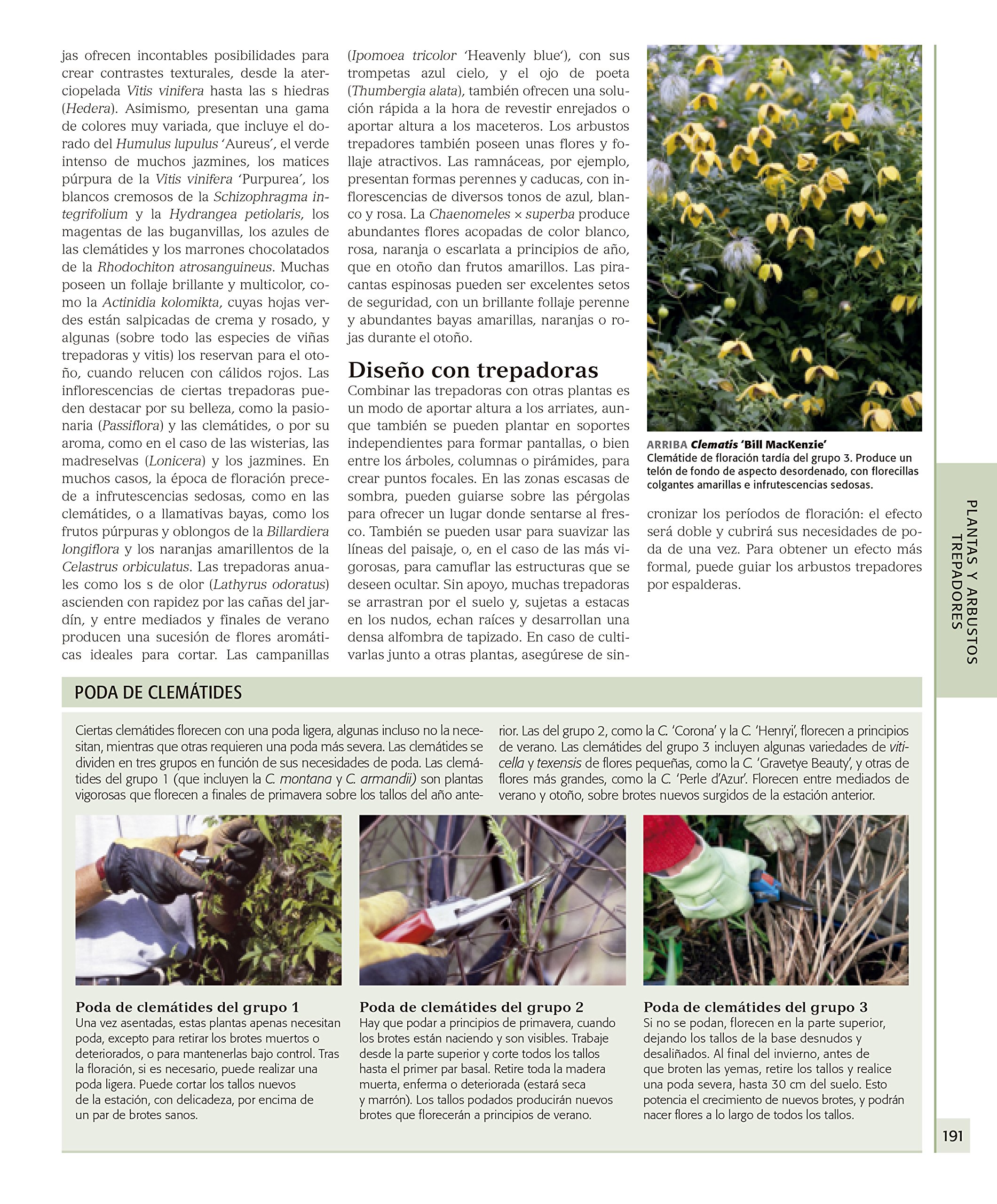 Enciclopedia de plantas y flores. The Royal Horticultural Society ...