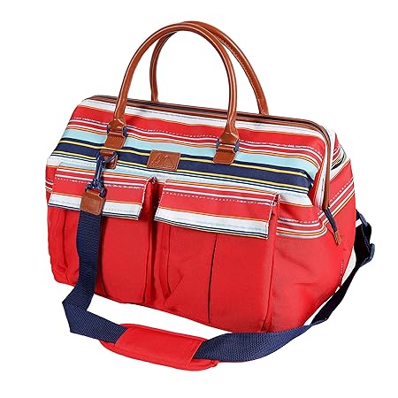 Arctic Zone Insulated Picnic Carrier