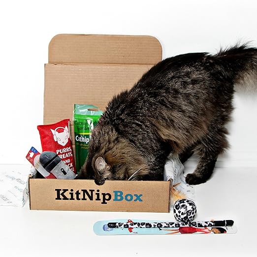 Cats Monthly Subscription Box Amazing AZ savings