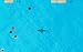 Shark Attack Game – Play as a Great White Shark