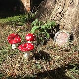FHFY Garden Fairy Door 11 cm Tall Resin Rustic Decorative Micro Door view 7