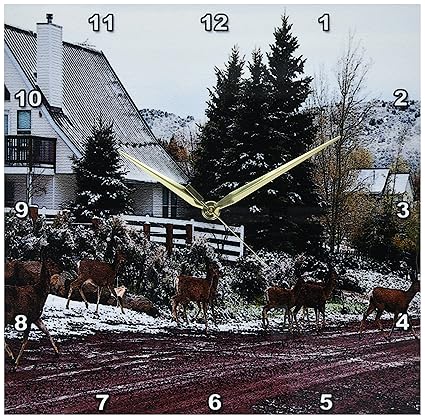 Amazon Com 3drose Dpp 49514 2 Eight Deer Crossing Road In Pine