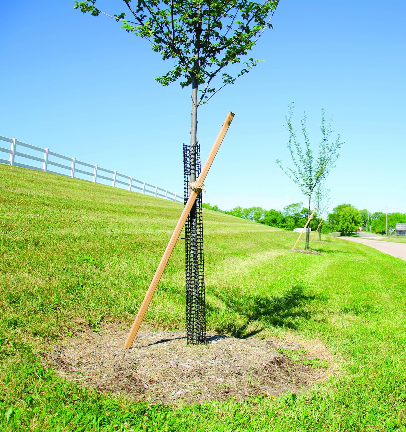 yellow mesh tree tubes