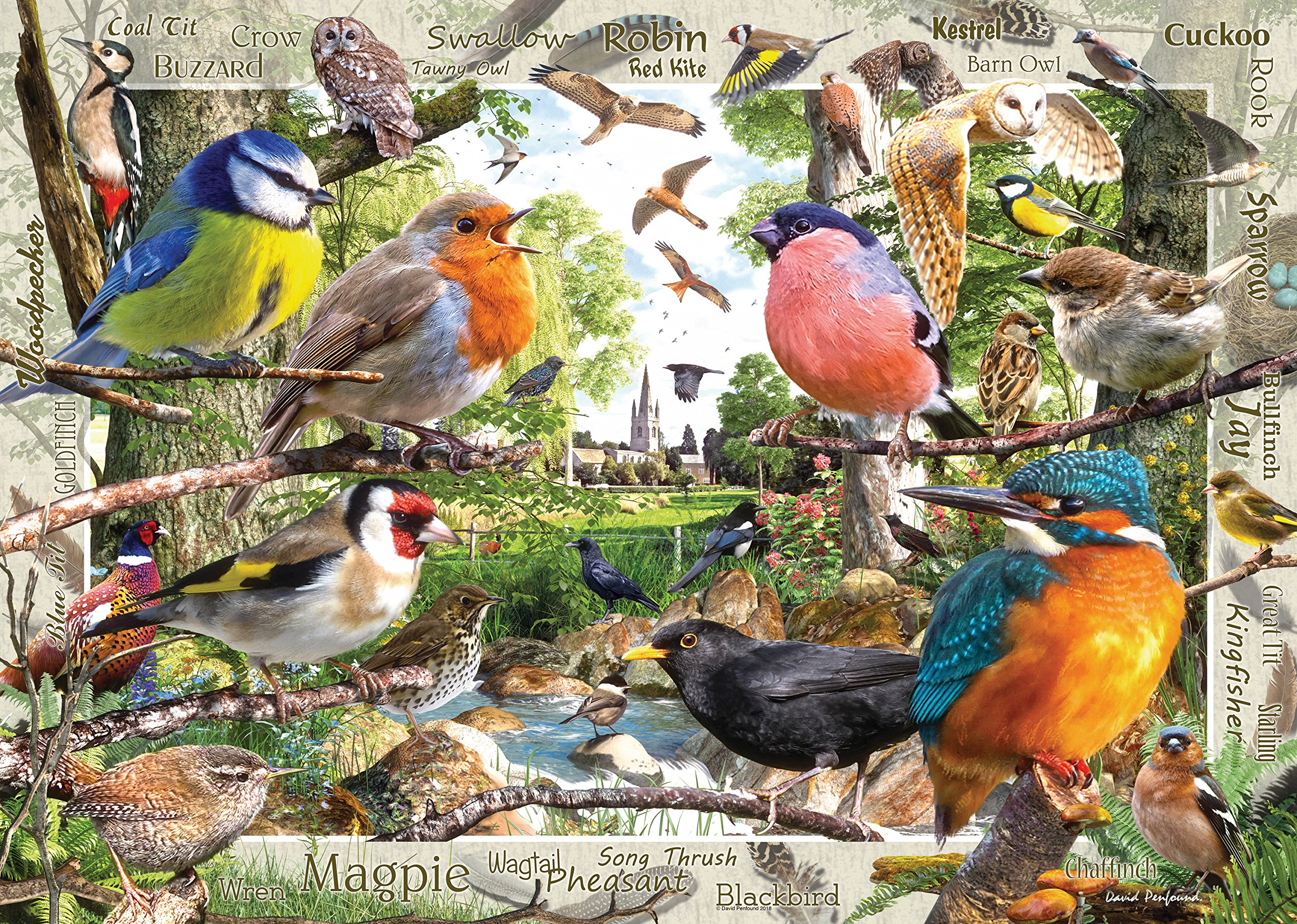 Ravensburger Our Feathered Friends 1000 Piece Jigsaw Puzzles for Adults and Kids Age 12 Years Up