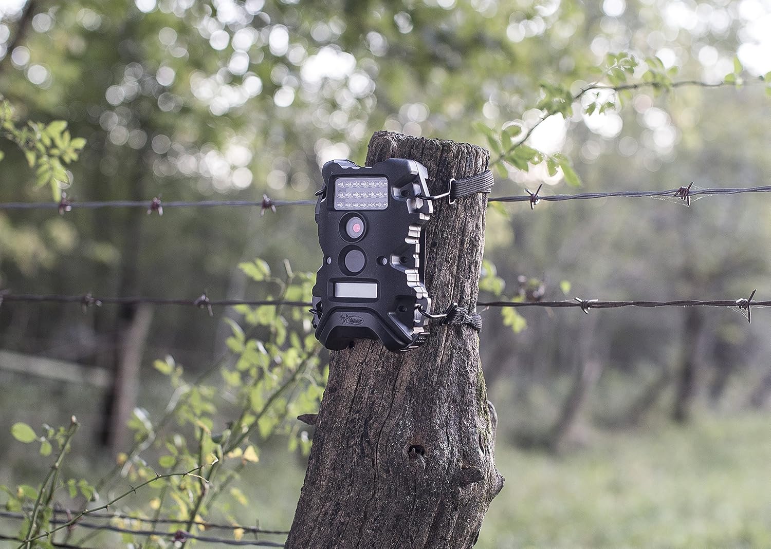 Wildgame Innovations TX10i1-8 Terra Extreme Camera, 10 MP, Black: Sports & Outdoors