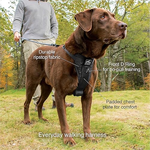 kurgo no pull harness