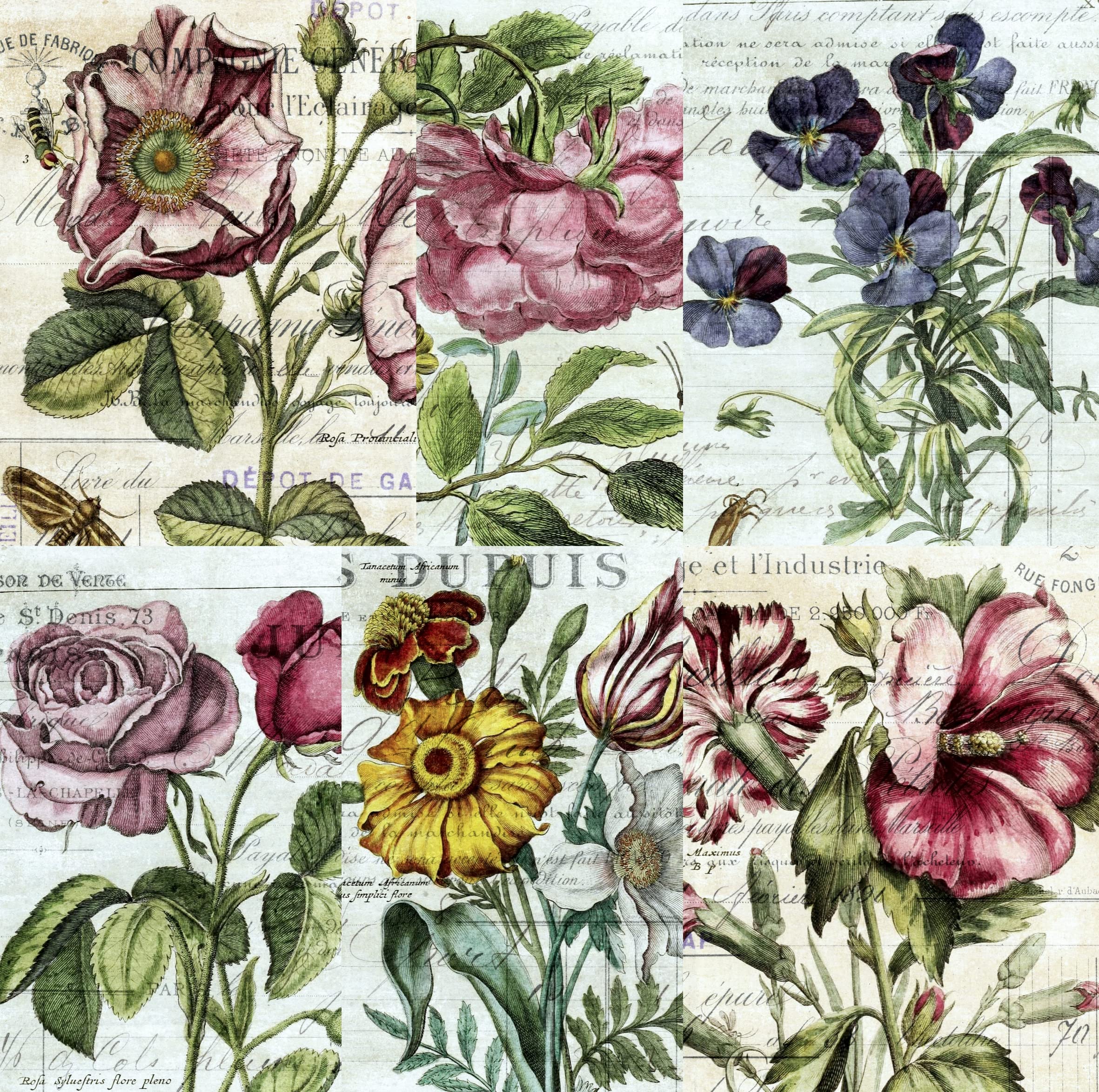 Botanical Theme Mulberry Rice Paper, 20.5 x 26.5cm - 6 x Different Printed Mulberry Paper Images 30gsm Visible Fibres for Decoupage Crafts Mixed Media Collage Art