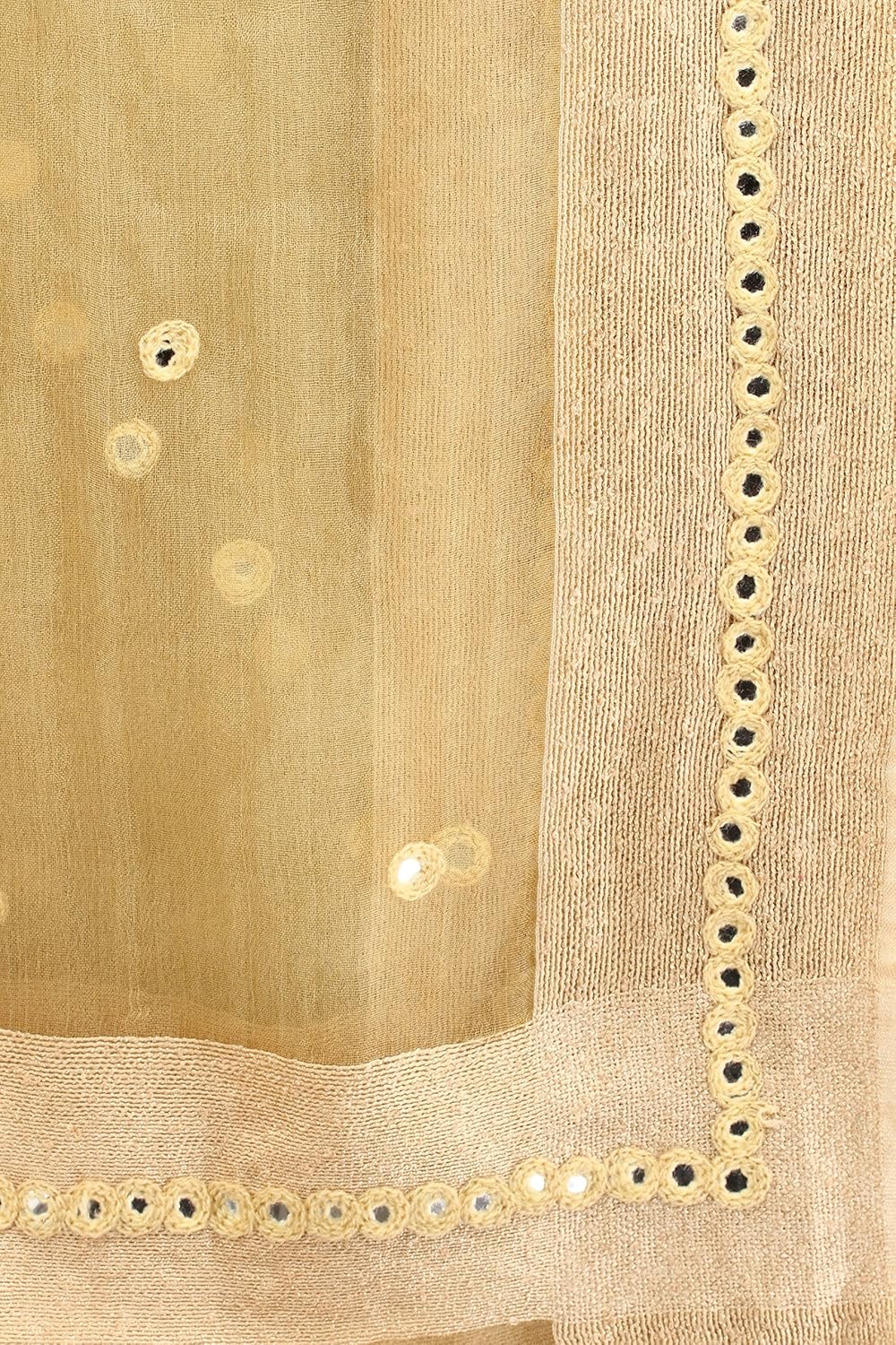 aksara beige organza dupatta
