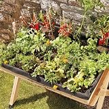 Garden Grow Medium Vegetable Planter Raised Bed Wooden Garden Planter view 5