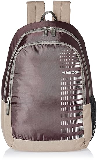 Aristocrat Purple Casual Backpack (BPPEP1PPL)