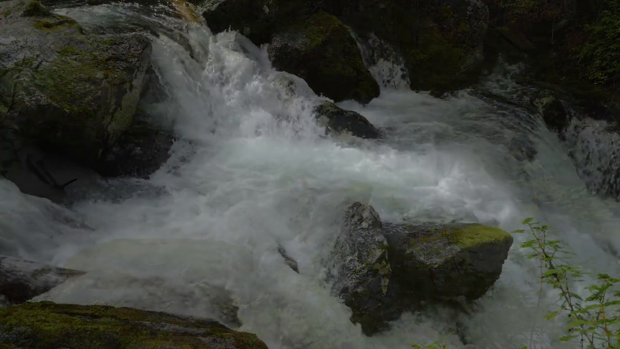 Nature 🌳 Screensaver 4k No for Android