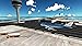 Flight Simulator: Fly Plane 3D