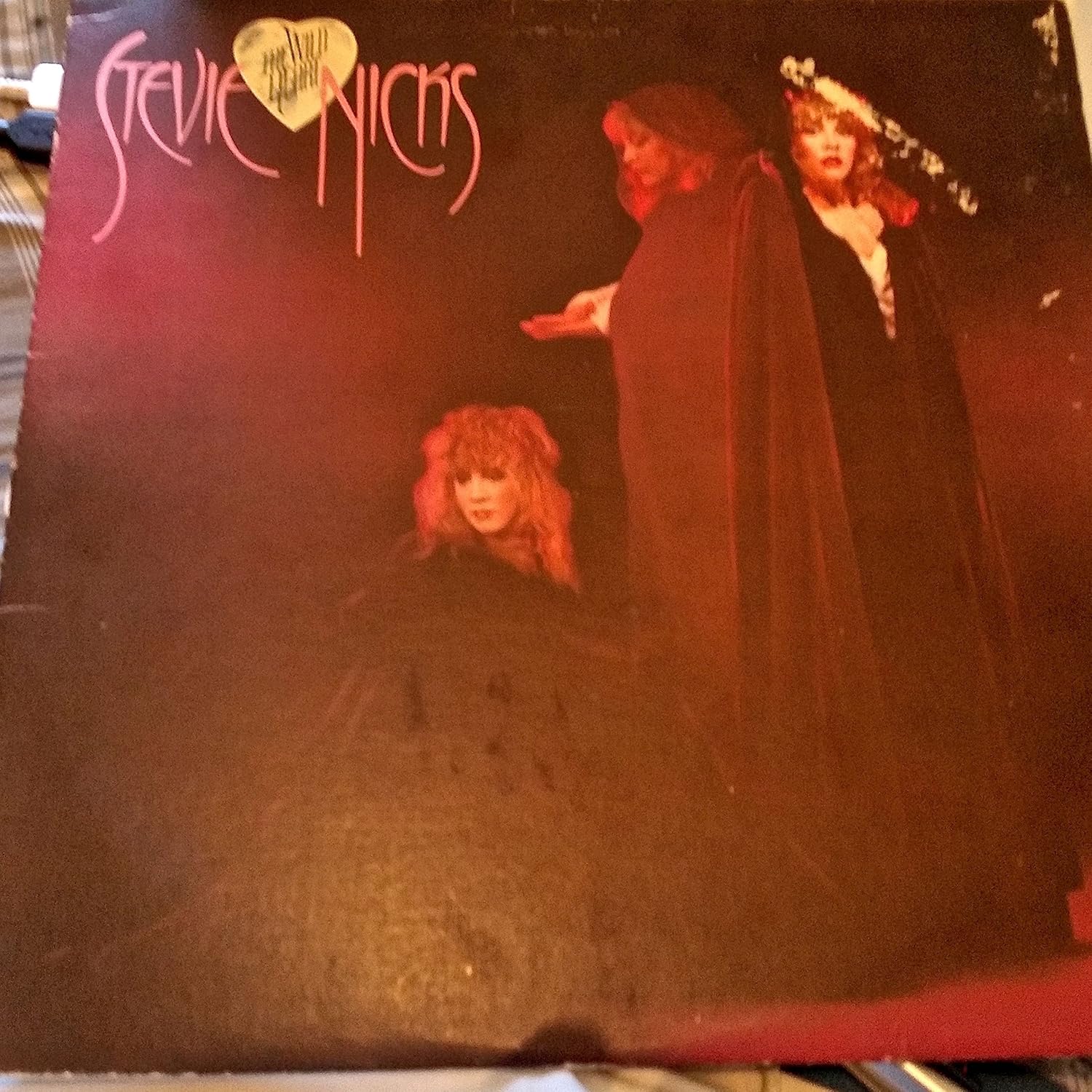 Stevie Nicks The Wild Heart Songs