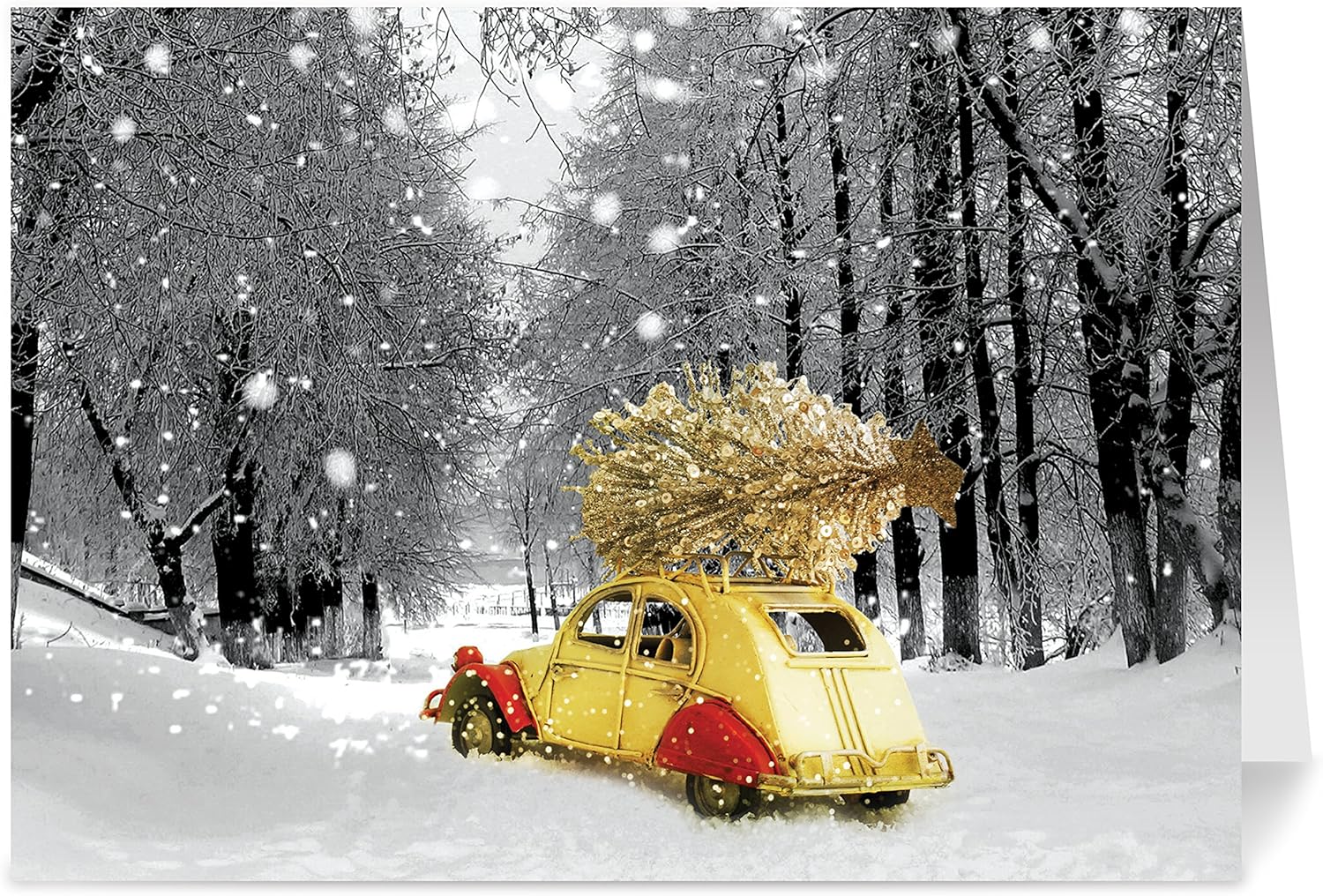 Christmas Cards, Holiday Cards - One Jade Lane - Delivering Warmth, 5x7, Heavy Stock, Set of 18 Cards & Envelopes, Seasons Greetings Cards.