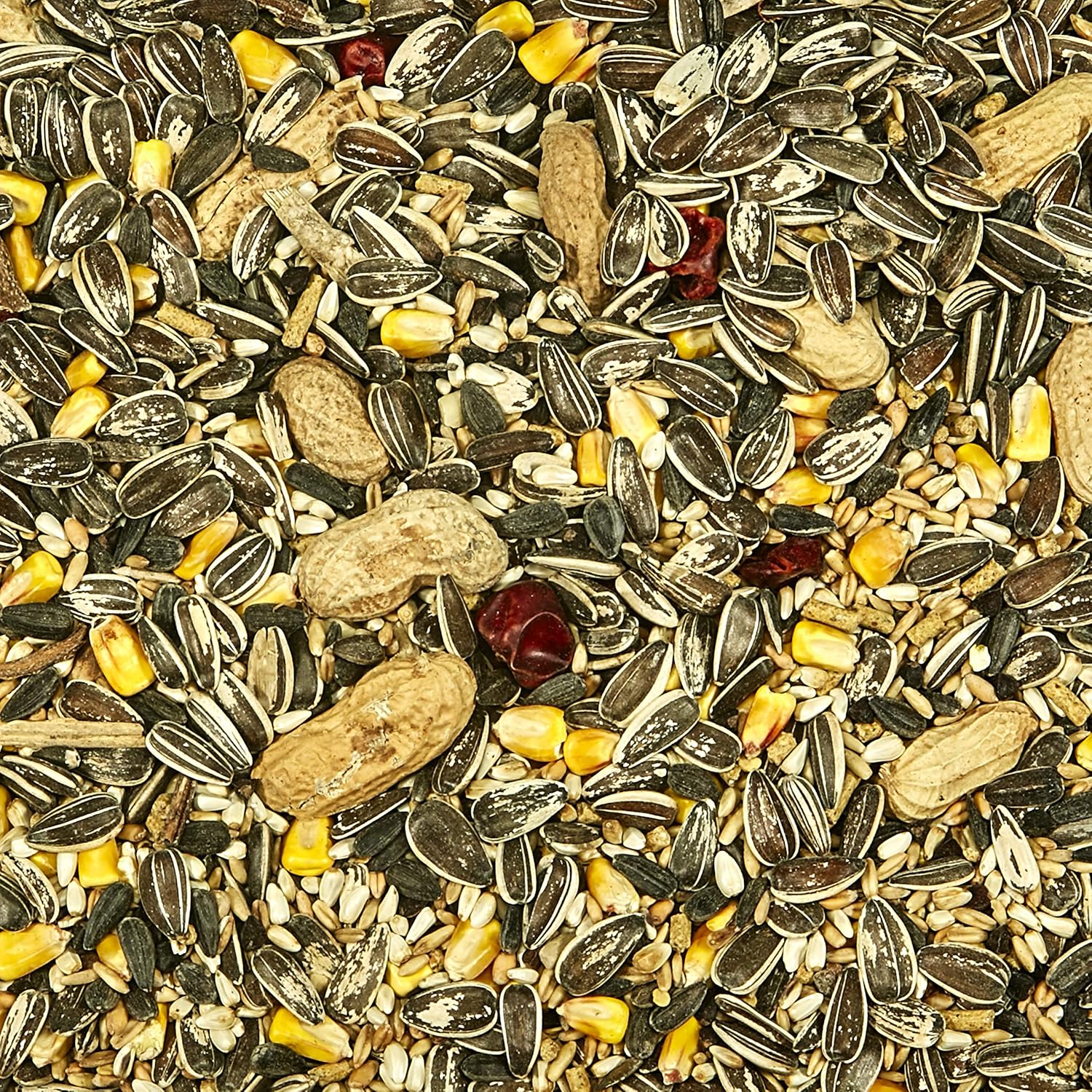 kaytee supreme parrot food