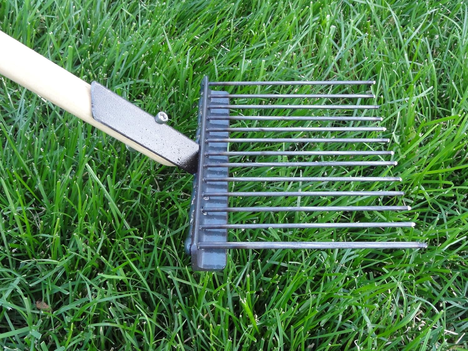 best pooper scooper for grass