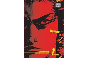 Vagabond, Vol. 1 (VIZBIG Edition)